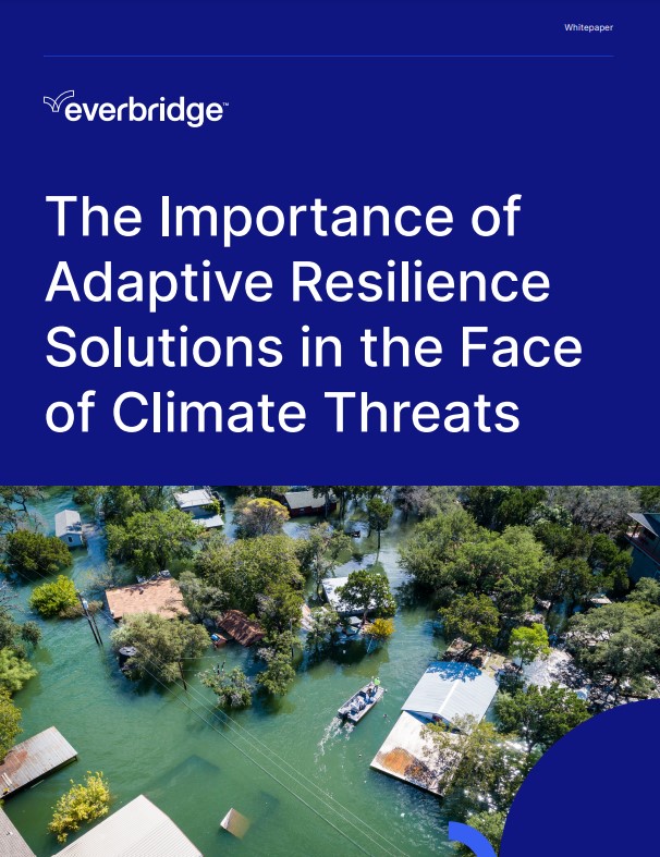 picture of the asset you are downloading