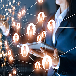 picture of the asset you are downloading